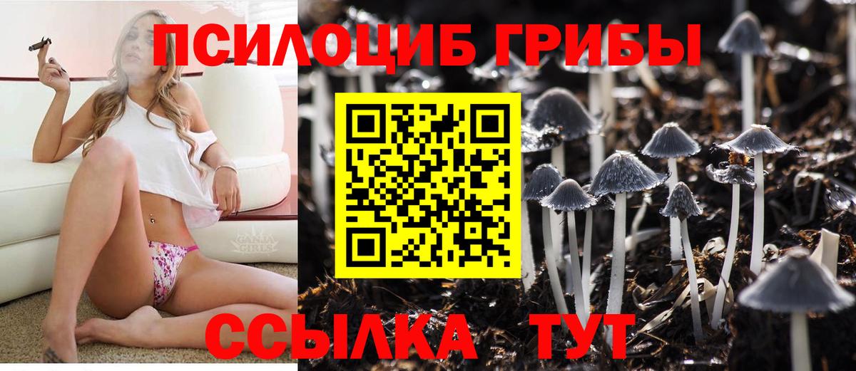 Муравленко  что такое наркотик  Вход с VPN  Псилоцибиновые грибы ЛСД 
